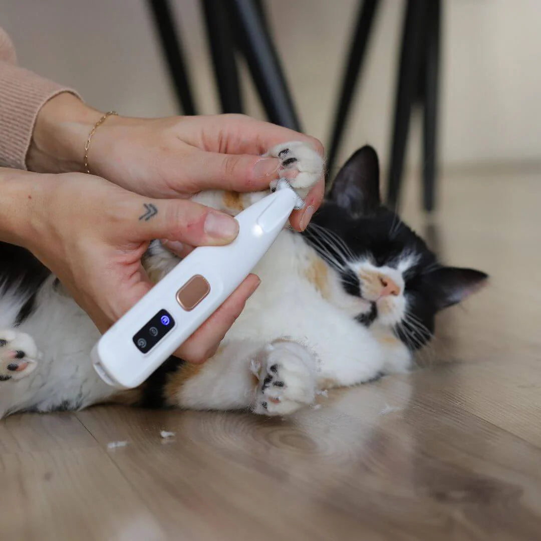 PawGlow Groomers™ for Cats