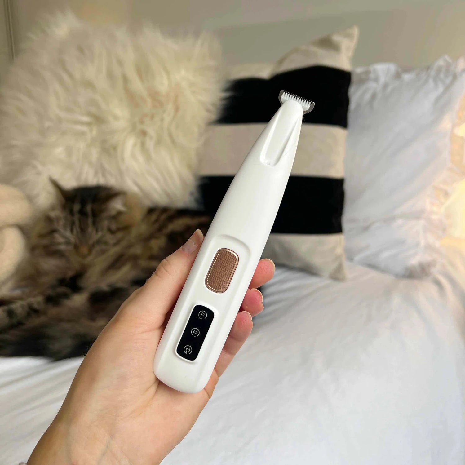 PawGlow Groomers™ for Cats